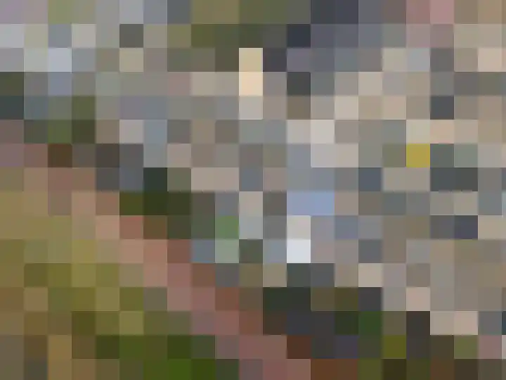 Willem Pijperstraat 58 Almere thumbnail 53