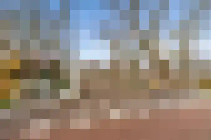 Willem Pijperstraat 58 Almere thumbnail 61