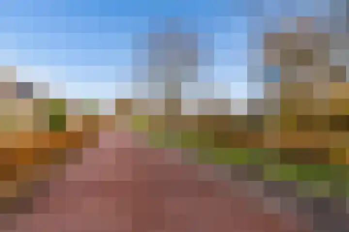 Willem Pijperstraat 58 Almere thumbnail 62