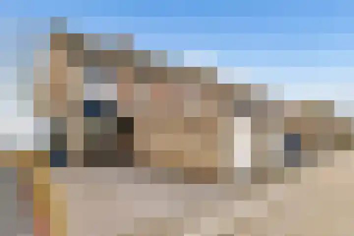 Willem Pijperstraat 58 Almere thumbnail 8