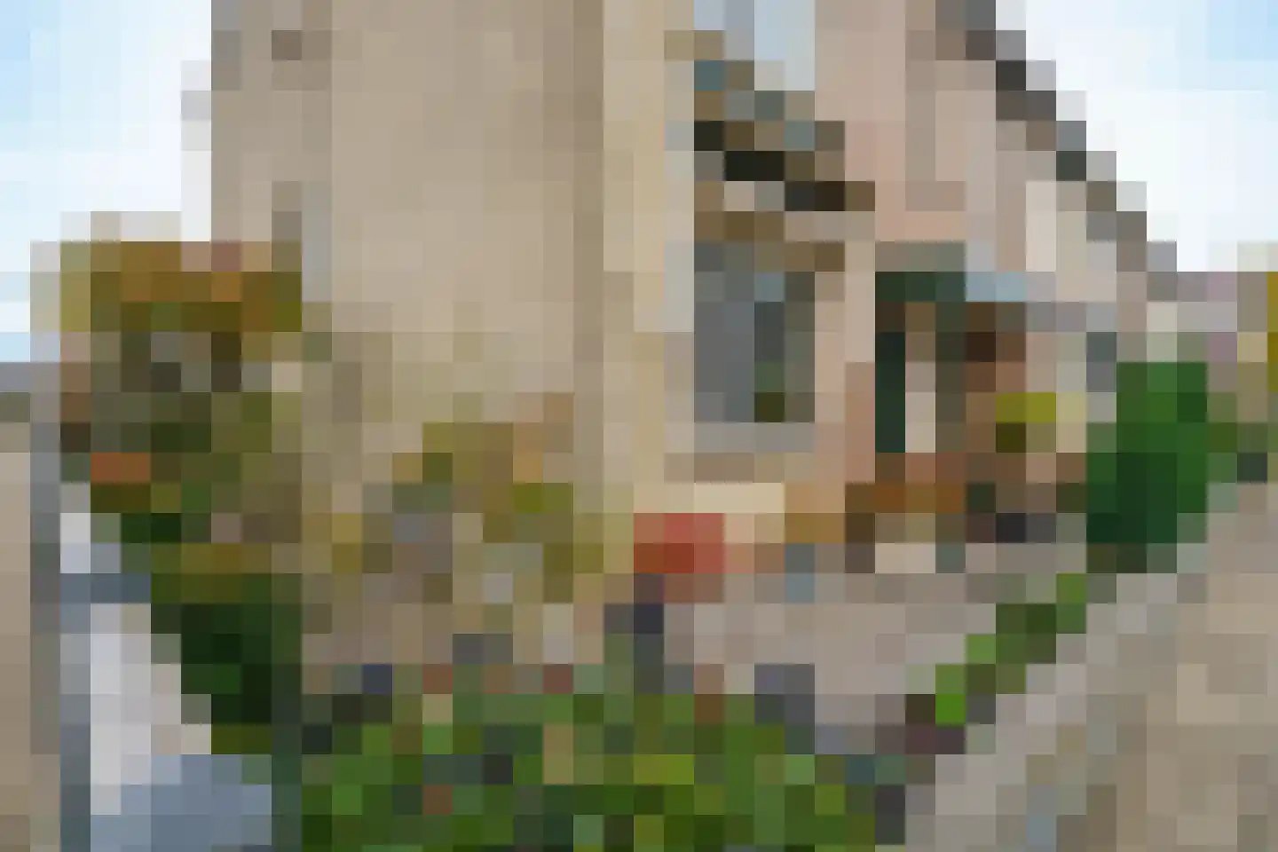 Willem Pijperstraat 59 Almere thumbnail 35