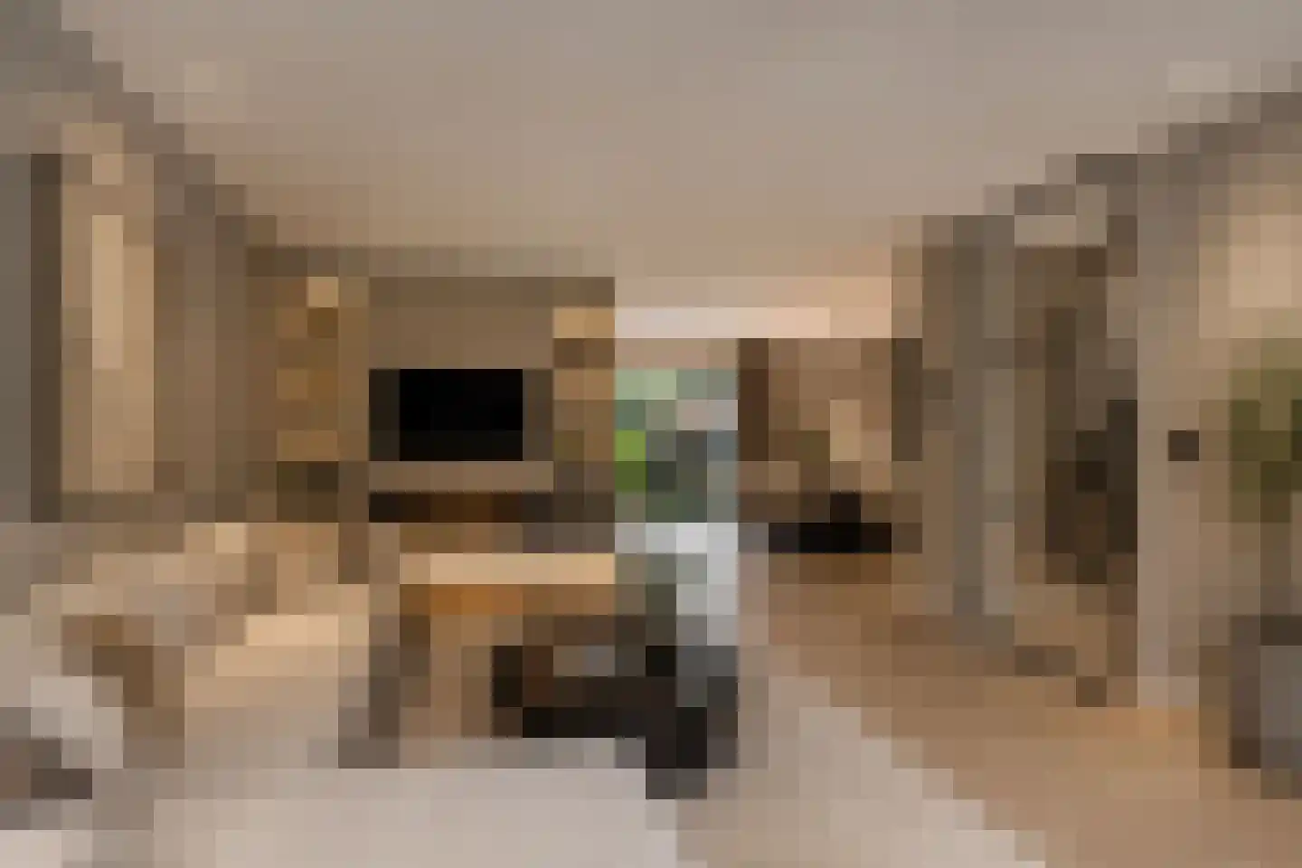 Willem Pijperstraat 6 Alkmaar thumbnail 12