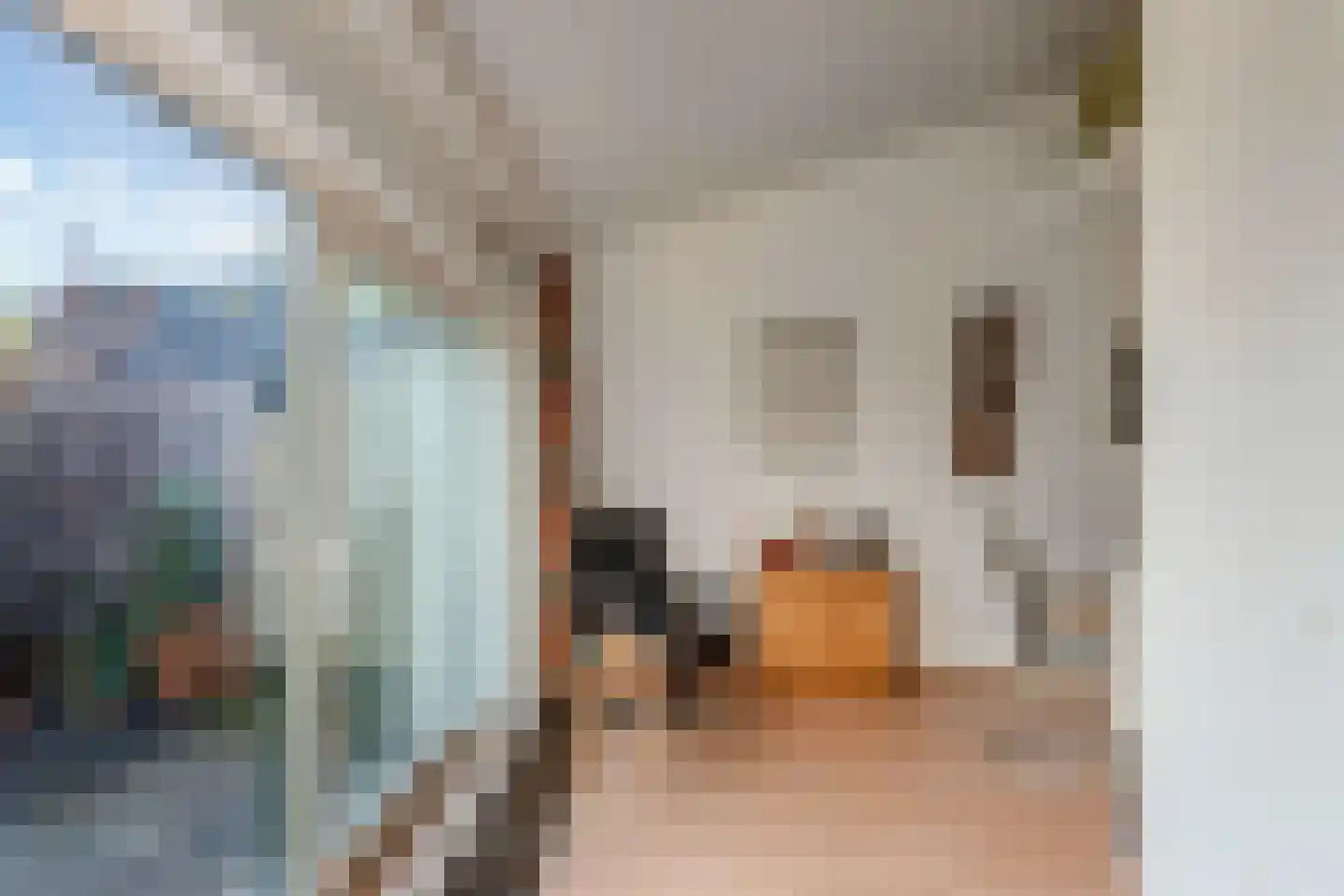 Willem Pijperstraat 6 Alkmaar thumbnail 21
