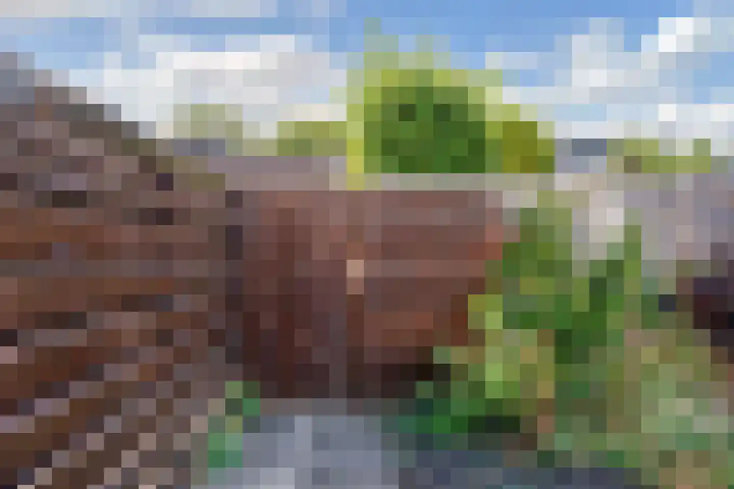 Willem Pijperstraat 6 Alkmaar thumbnail 40