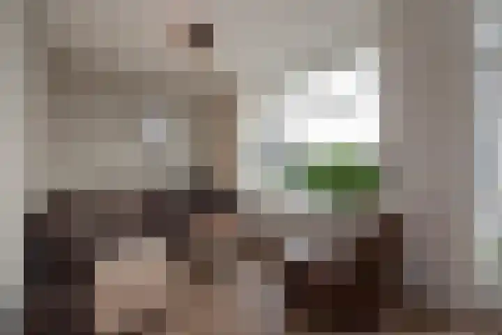 Willem Pijperstraat 66 Den Haag thumbnail 11