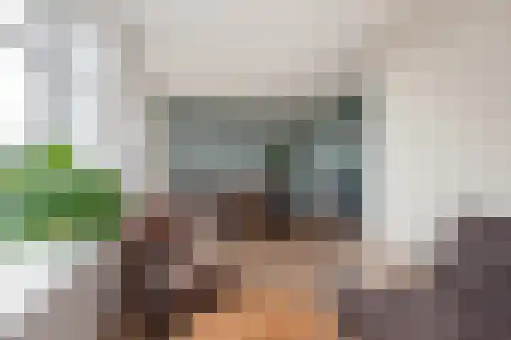 Willem Pijperstraat 66 Den Haag thumbnail 12