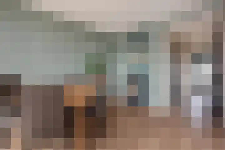 Willem Pijperstraat 66 Den Haag thumbnail 13
