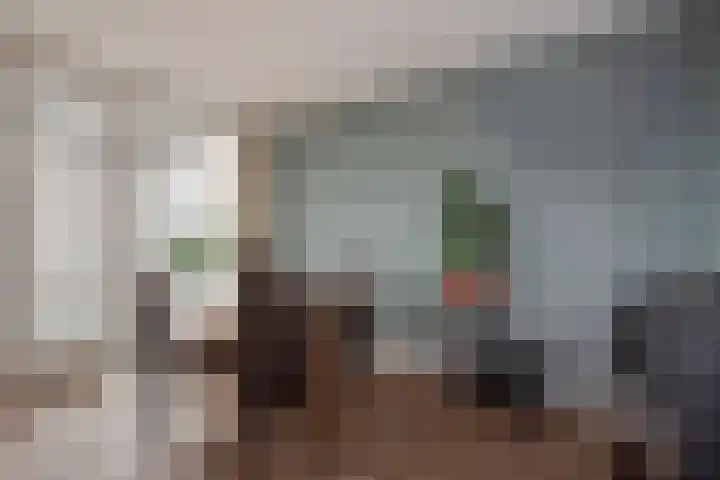 Willem Pijperstraat 66 Den Haag thumbnail 14