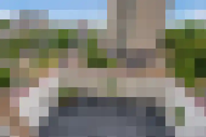 Willem Pijperstraat 66 Den Haag thumbnail 15
