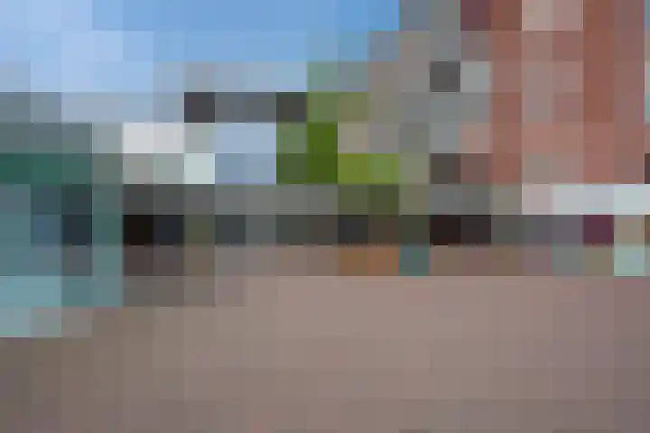 Willem Pijperstraat 66 Den Haag thumbnail 31