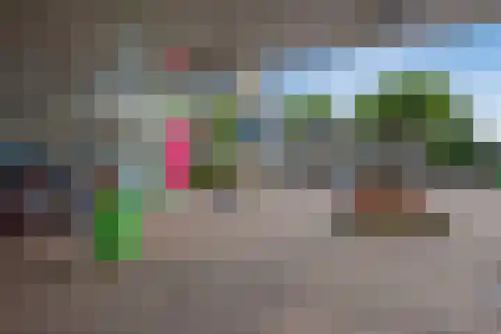 Willem Pijperstraat 66 Den Haag thumbnail 32