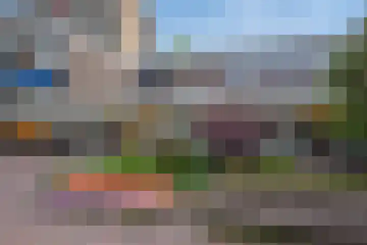Willem Pijperstraat 66 Den Haag thumbnail 33