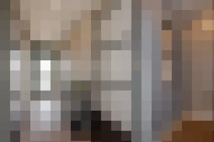 Willem Pijperstraat 66 Den Haag thumbnail 4