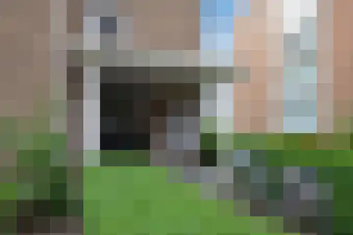 Willem Pijperstraat 66 Den Haag thumbnail 5