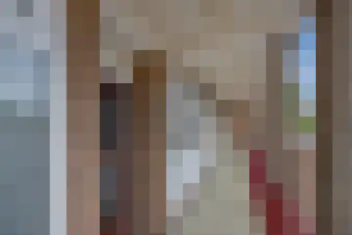 Willem Pijperstraat 66 Den Haag thumbnail 7