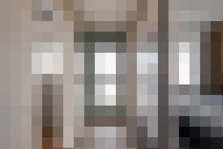 Willem Pijperstraat 66 Den Haag thumbnail 8