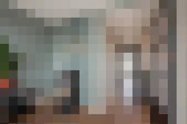 Willem Pijperstraat 66 Den Haag thumbnail 9