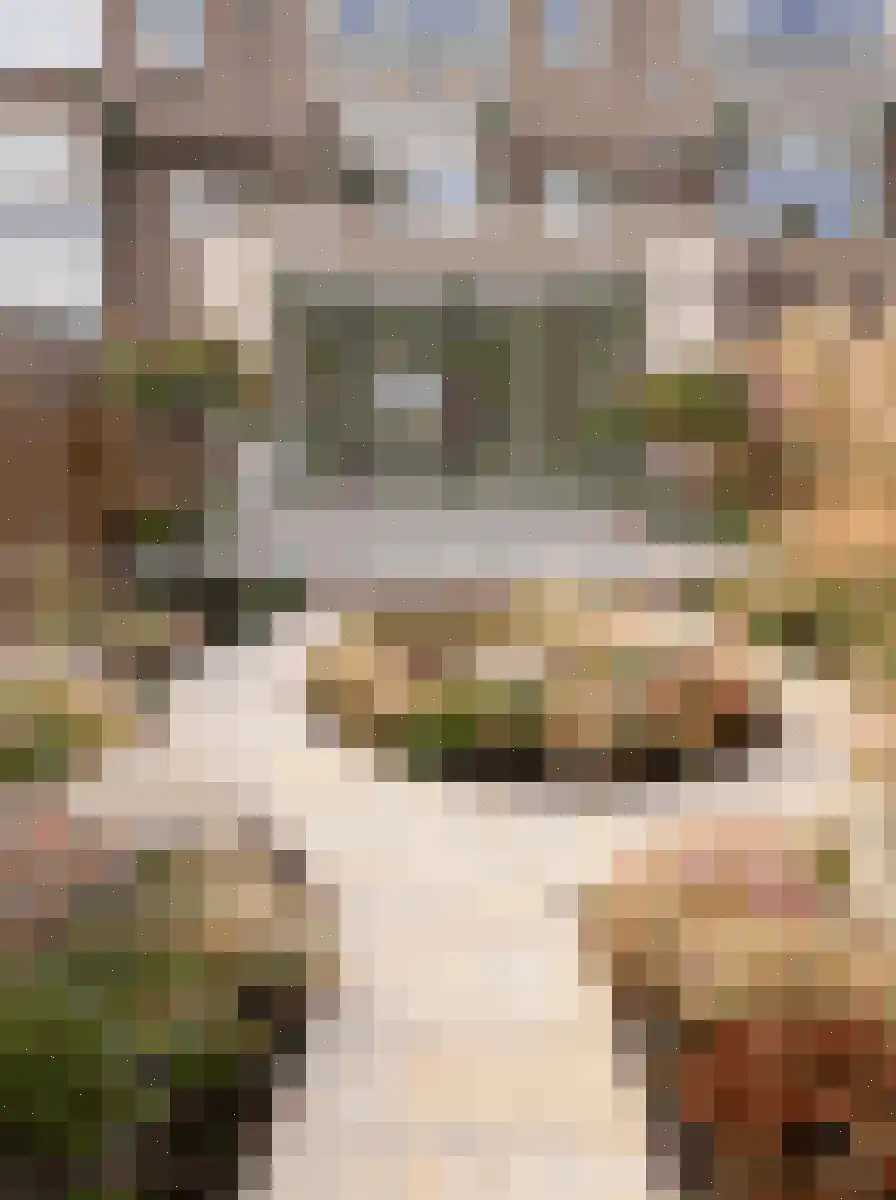 Willem Pijperstraat 71 Amsterdam thumbnail 5