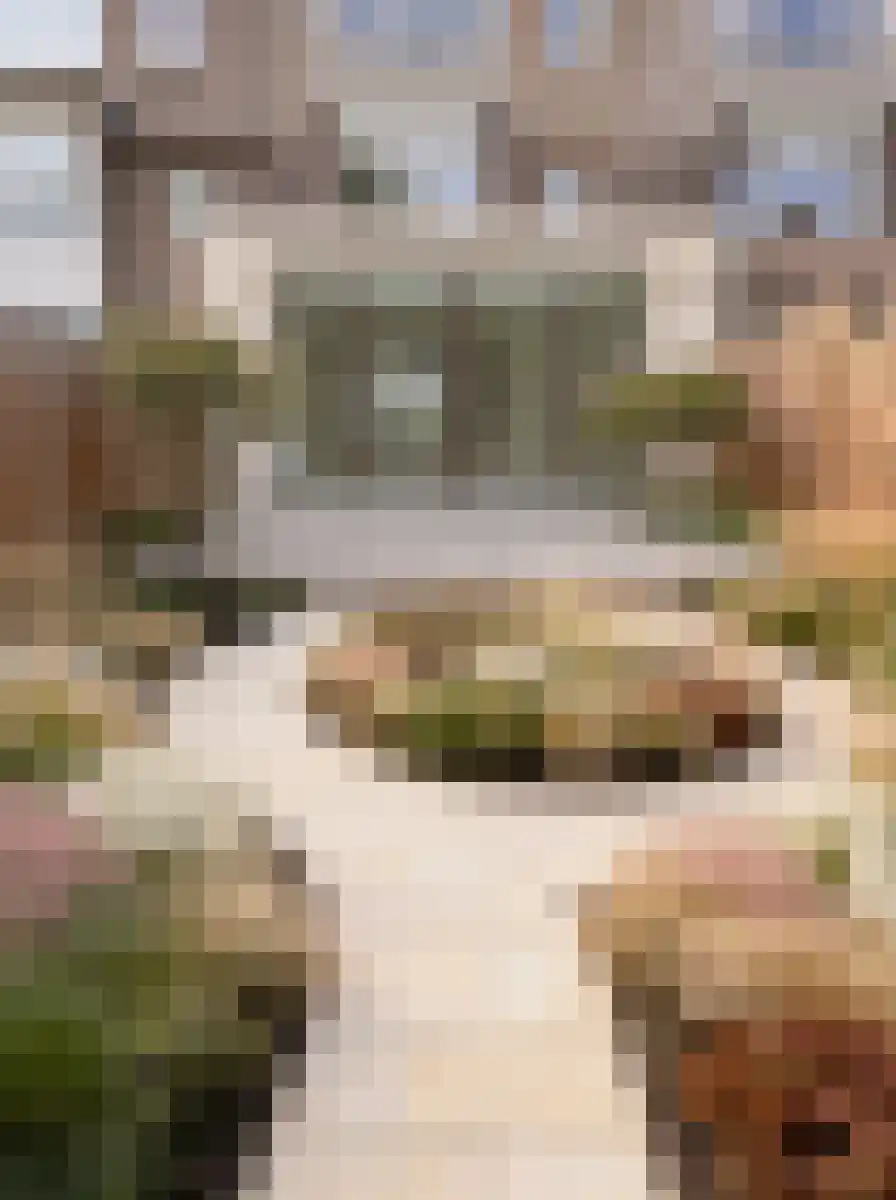Willem Pijperstraat 71 Amsterdam thumbnail 7