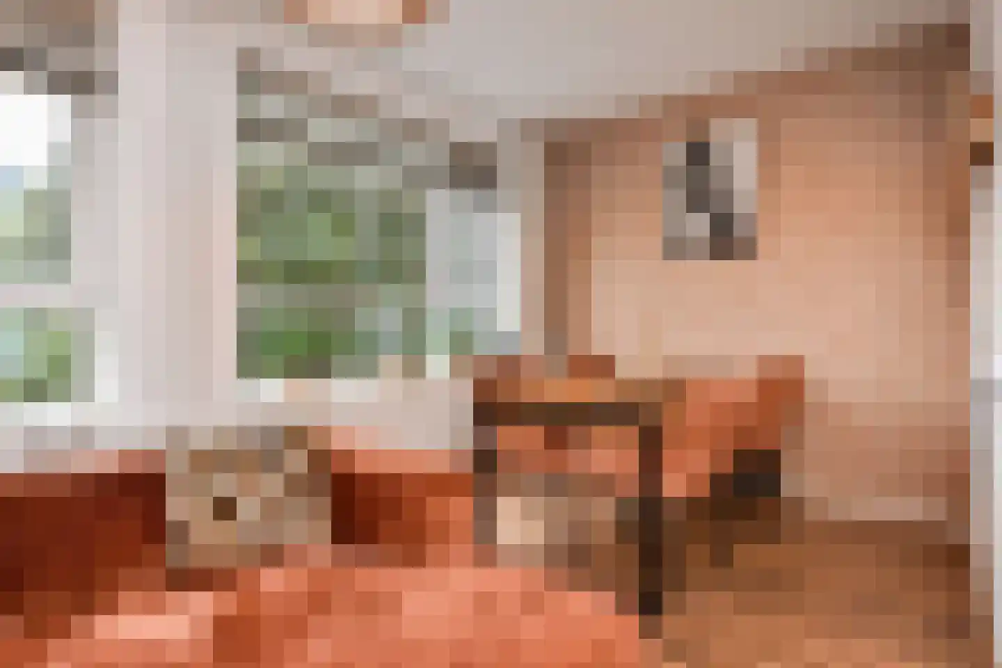 Willem Pijperstraat 75 Den Haag thumbnail 11