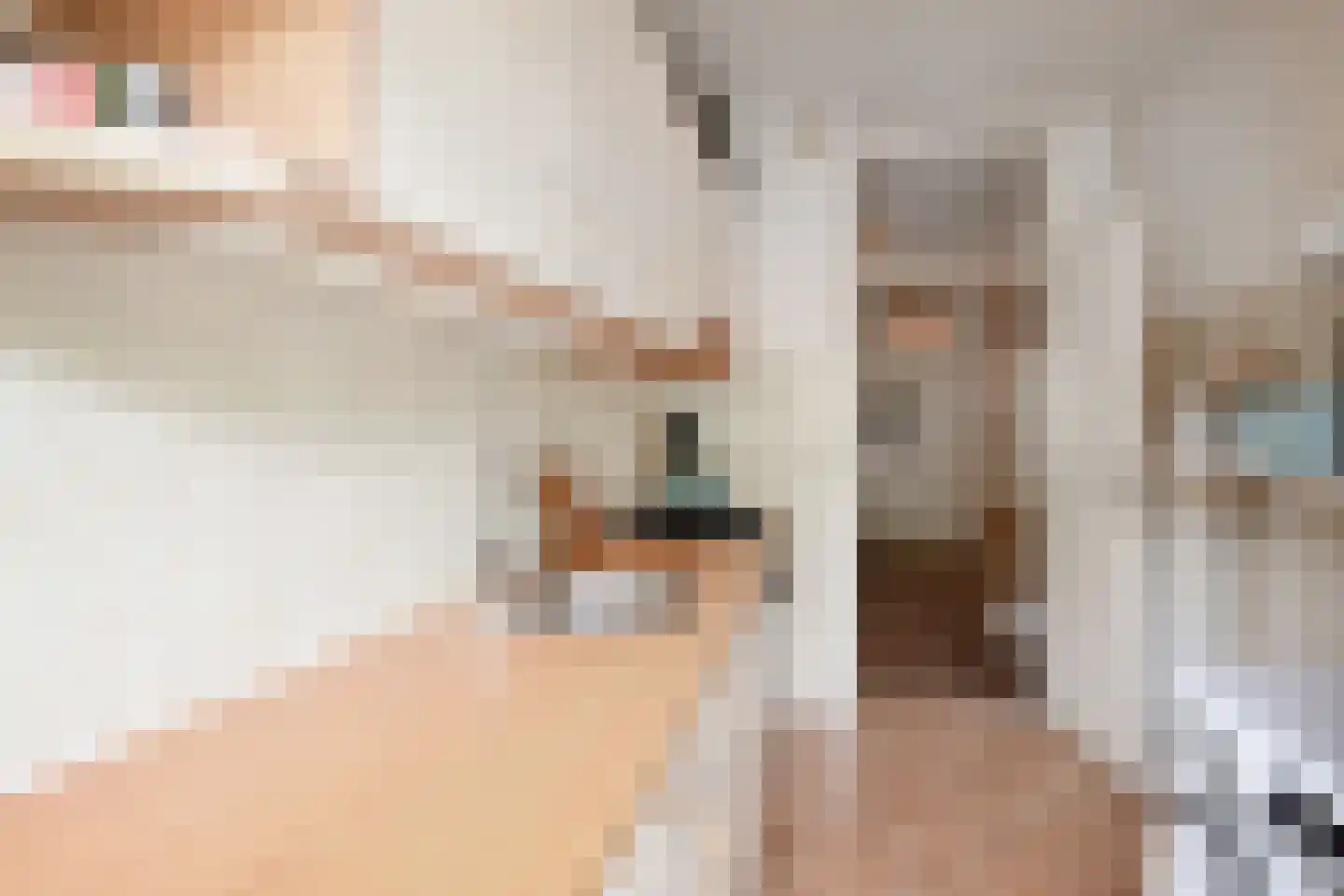 Willem Pijperstraat 75 Den Haag thumbnail 16