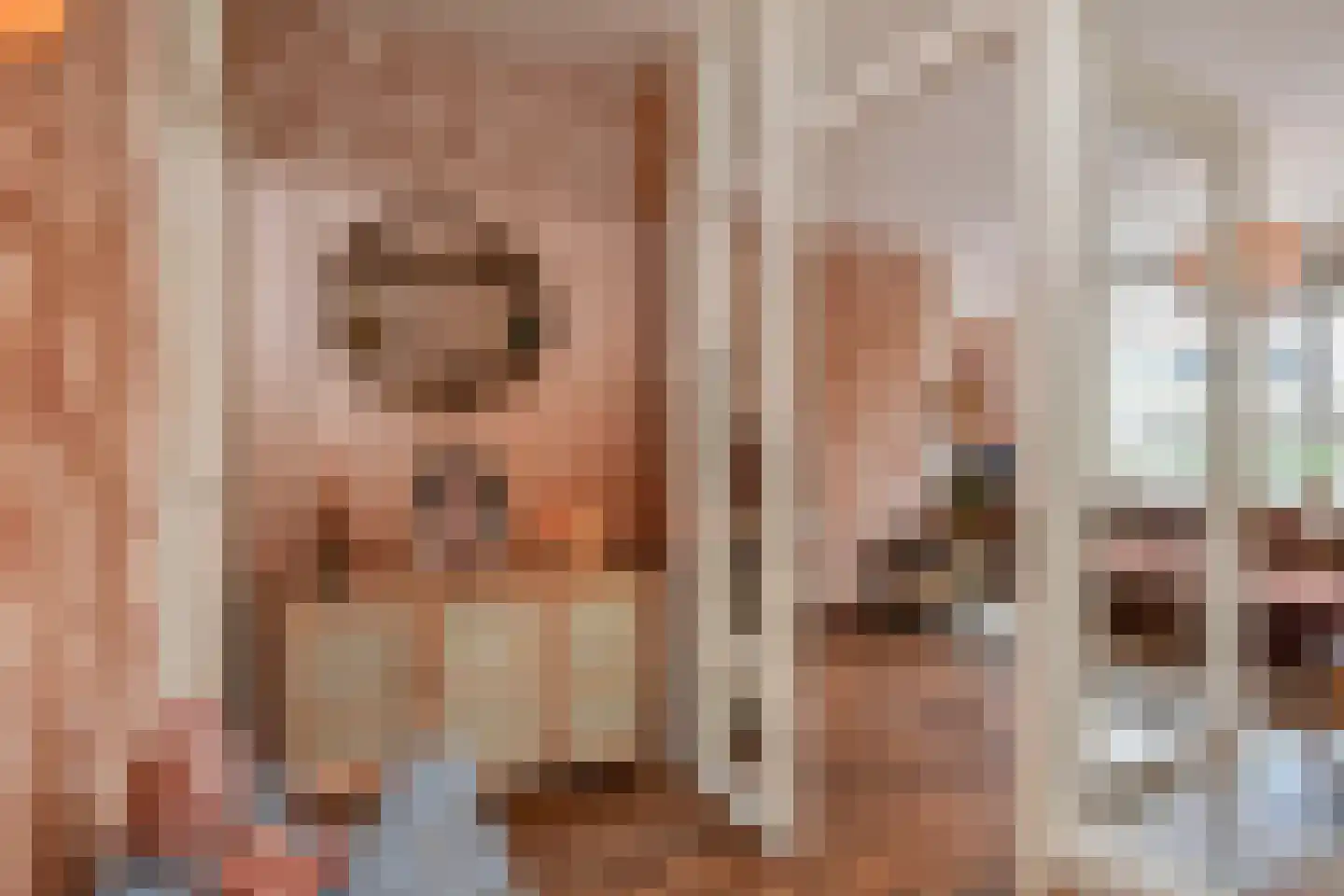 Willem Pijperstraat 75 Den Haag thumbnail 8