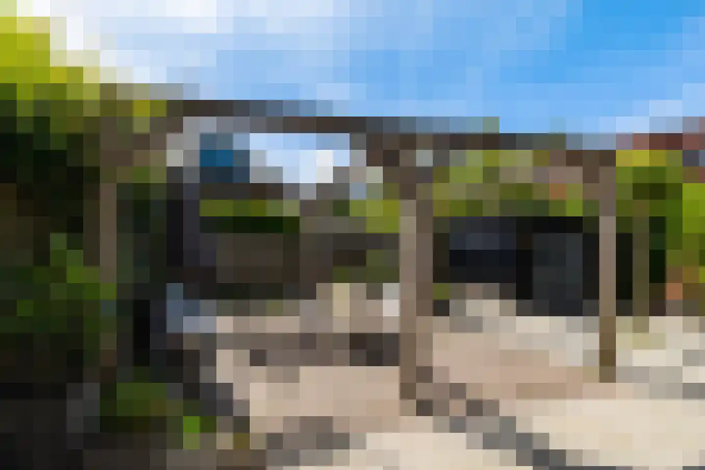 Willem Plojterlaan 2 Eelderwolde thumbnail 20