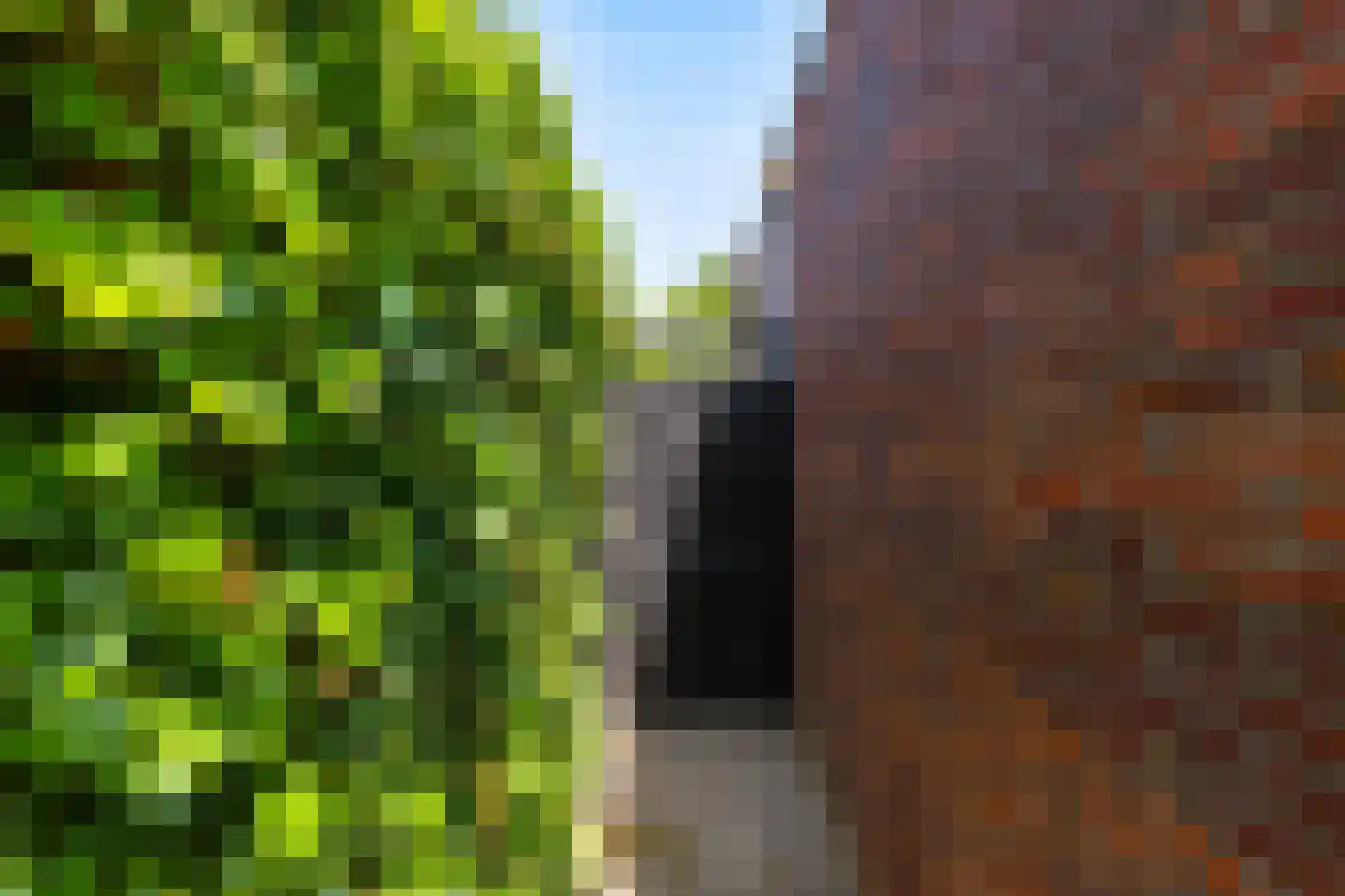 Willem Plojterlaan 2 Eelderwolde thumbnail 21