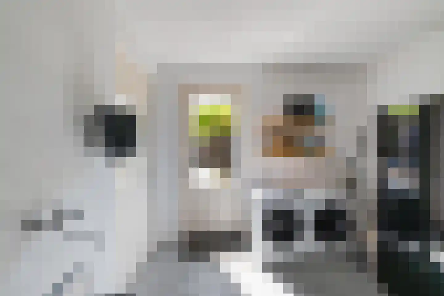 Willem Plojterlaan 2 Eelderwolde thumbnail 25