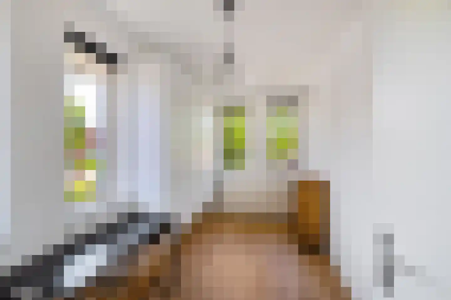 Willem Plojterlaan 2 Eelderwolde thumbnail 28