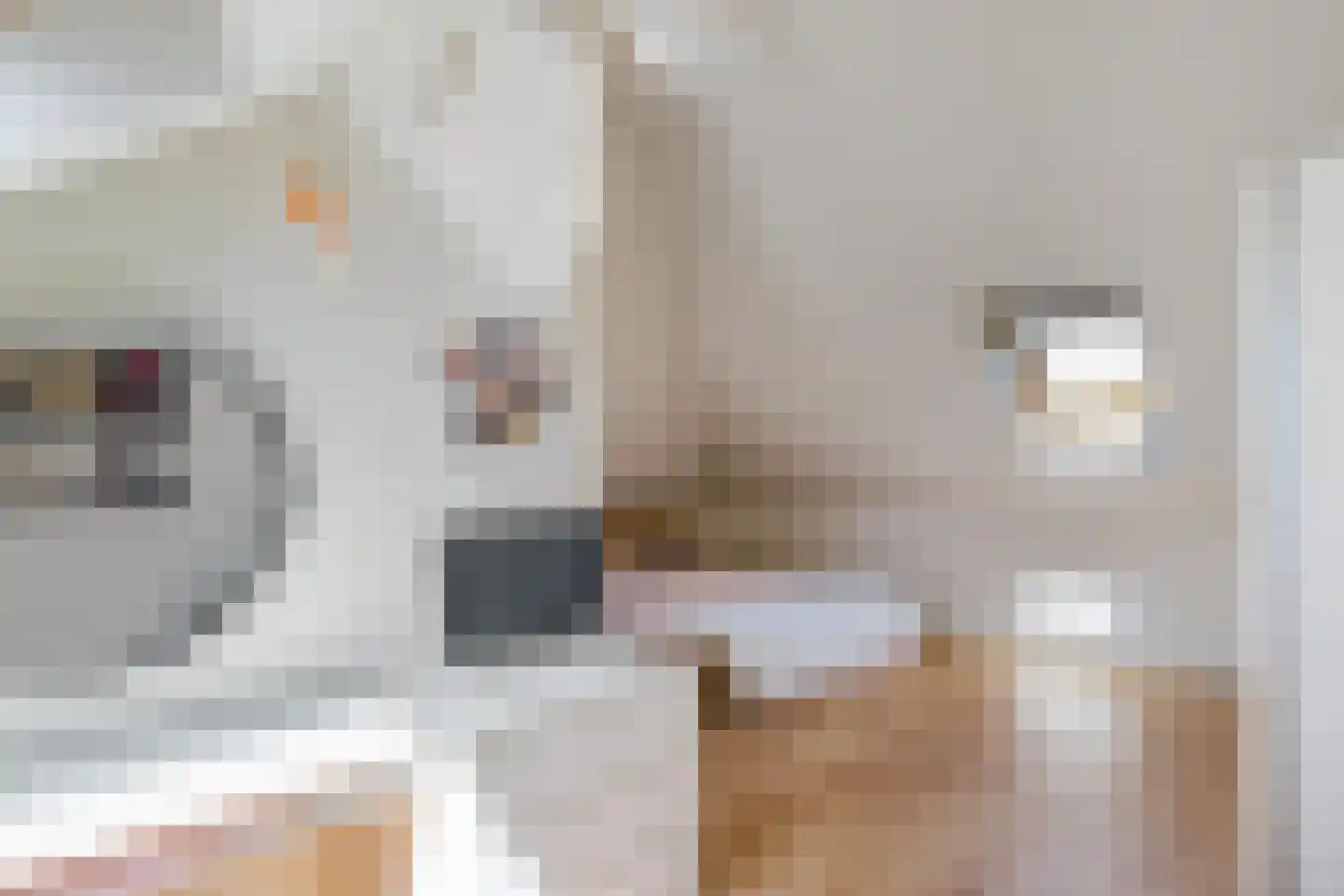 Willem Plojterlaan 2 Eelderwolde thumbnail 40