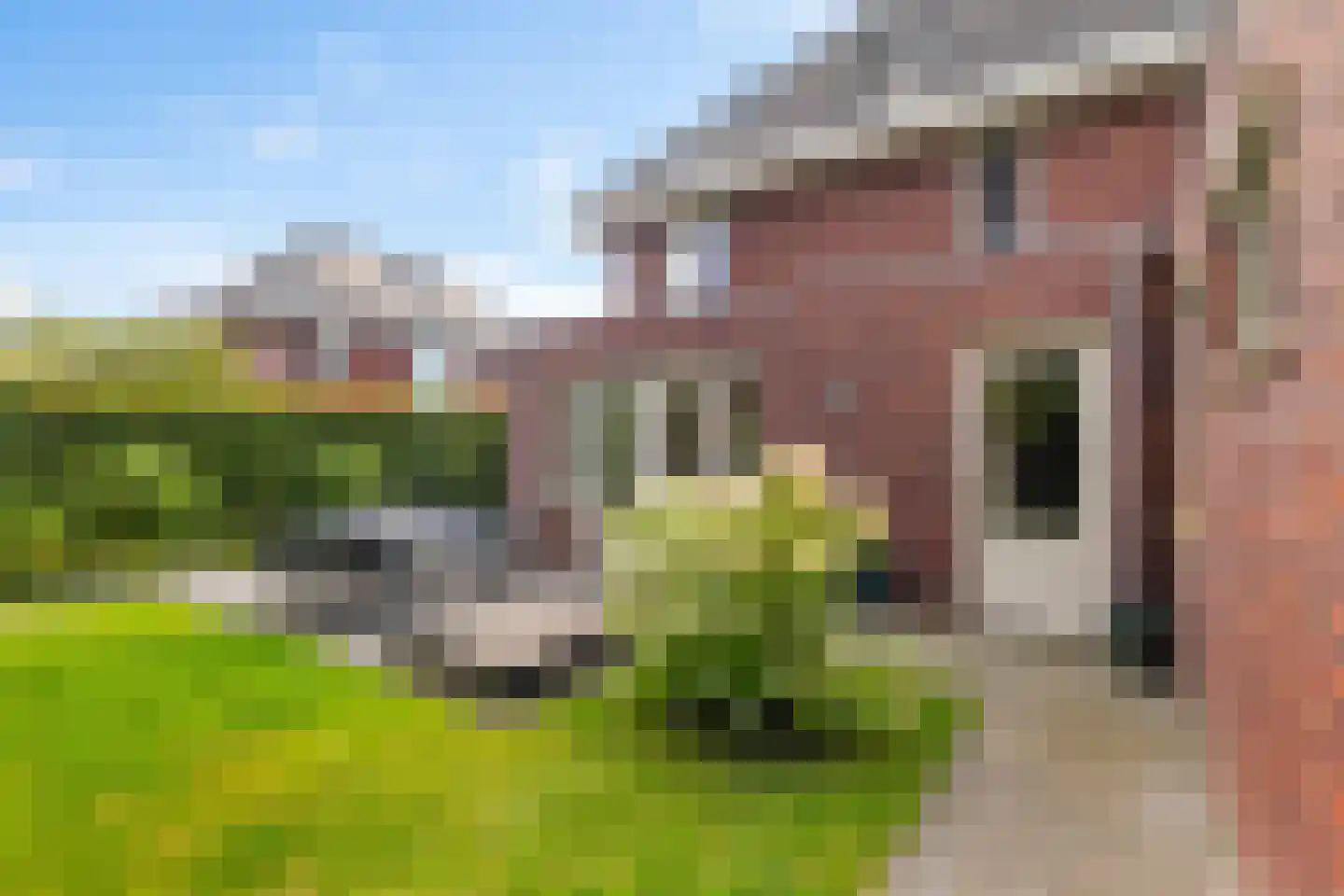 Willem Plojterlaan 25 Eelderwolde thumbnail 23