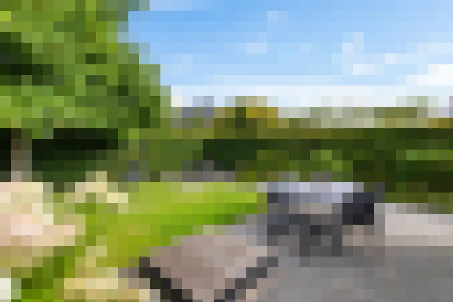 Willem Plojterlaan 25 Eelderwolde thumbnail 25