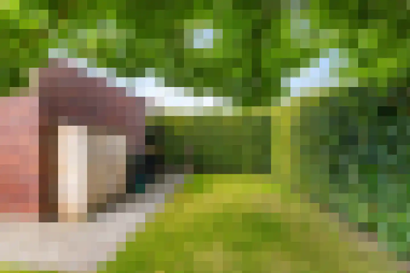 Willem Plojterlaan 25 Eelderwolde thumbnail 27