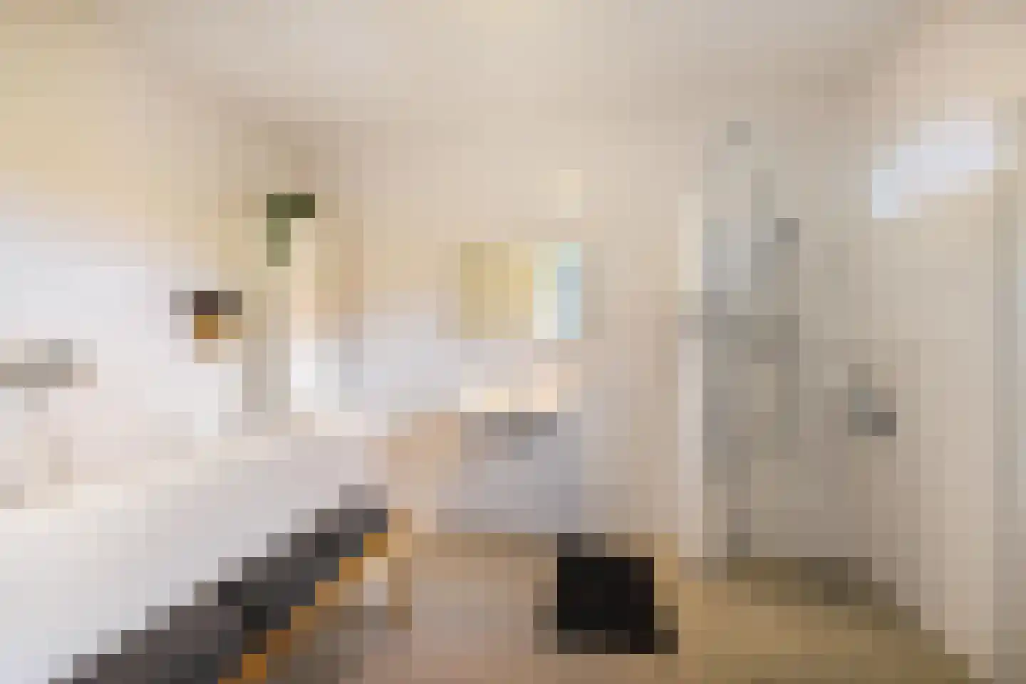 Willem Plojterlaan 25 Eelderwolde thumbnail 28