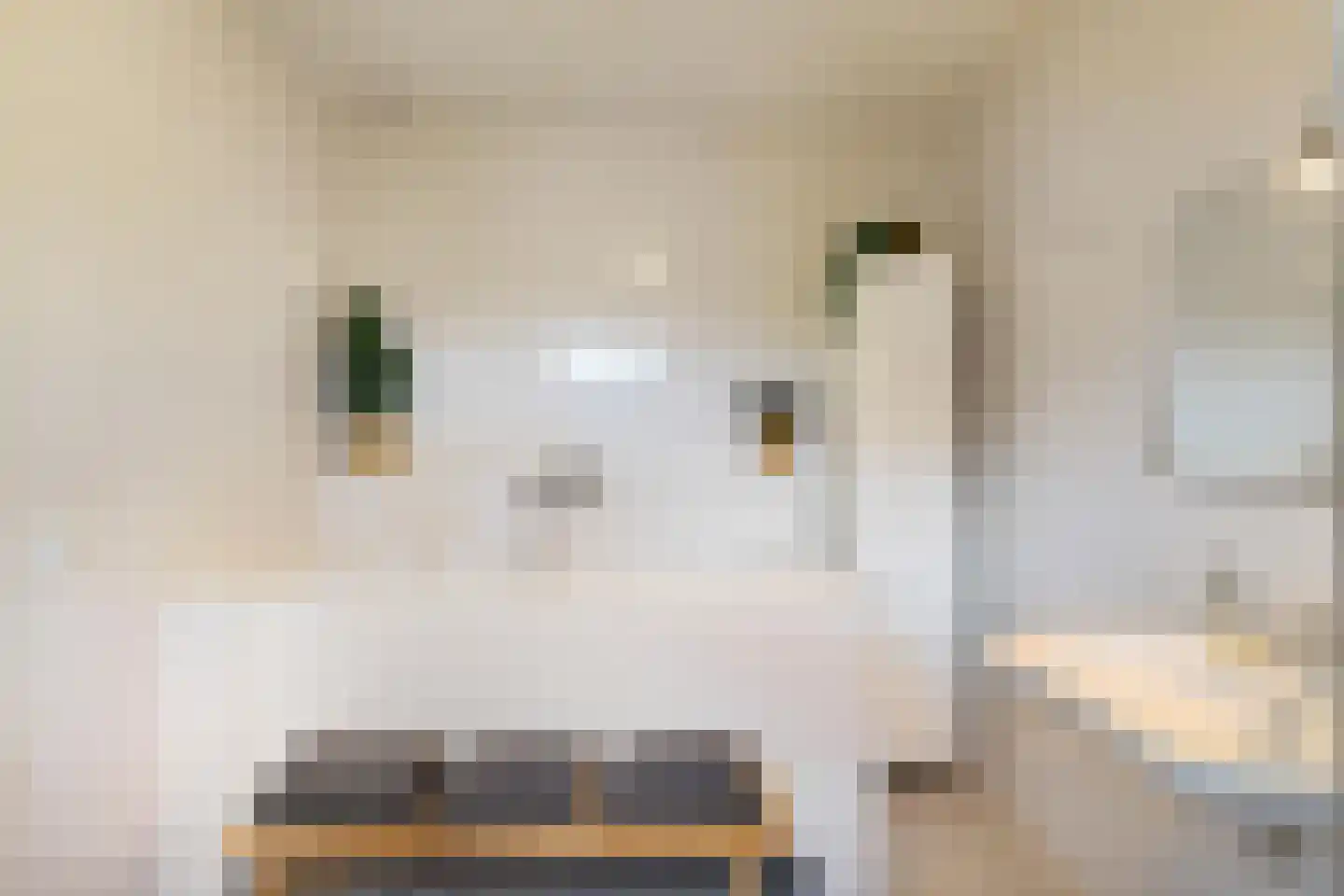 Willem Plojterlaan 25 Eelderwolde thumbnail 29