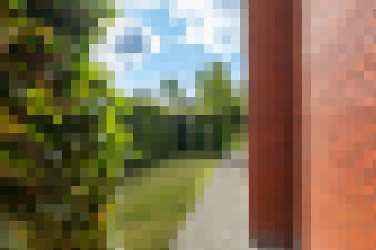 Willem Plojterlaan 25 Eelderwolde thumbnail 58