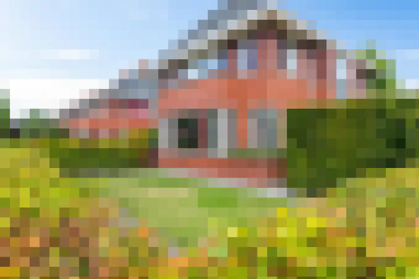 Willem Plojterlaan 25 Eelderwolde thumbnail 6