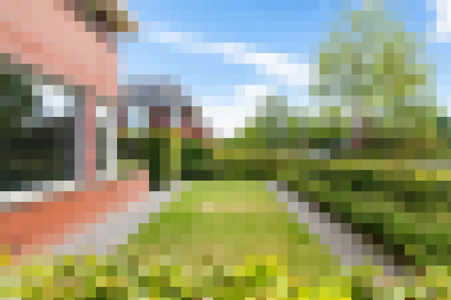 Willem Plojterlaan 25 Eelderwolde thumbnail 7