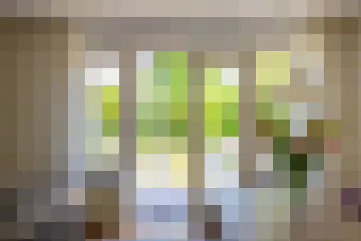 Willem Plojterlaan 37 Eelderwolde thumbnail 22