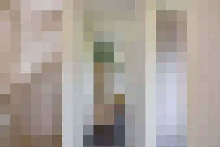 Willem Plojterlaan 37 Eelderwolde thumbnail 31