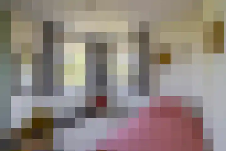 Willem Plojterlaan 37 Eelderwolde thumbnail 32