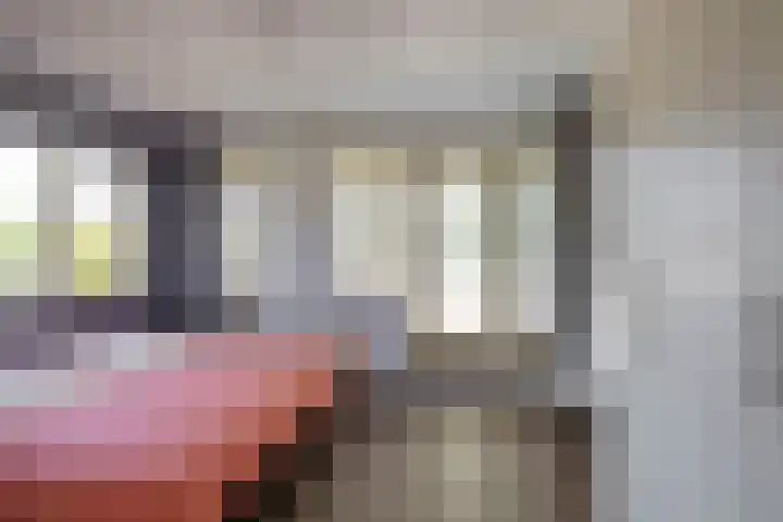 Willem Plojterlaan 37 Eelderwolde thumbnail 33