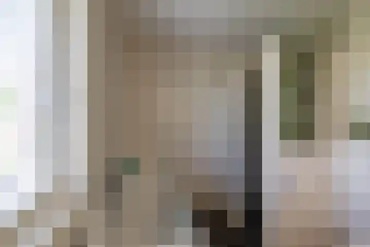 Willem Plojterlaan 37 Eelderwolde thumbnail 35
