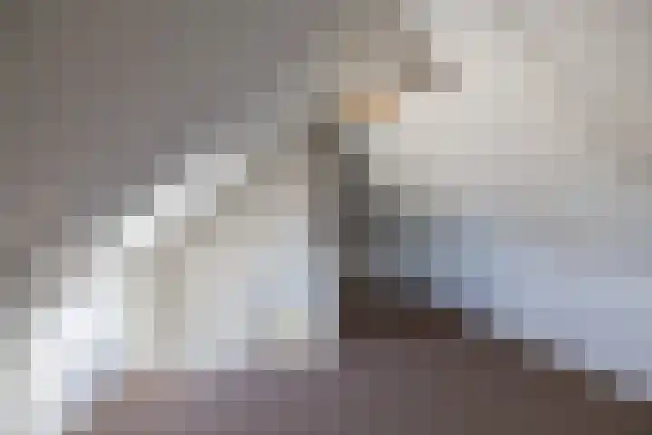 Willem Plojterlaan 37 Eelderwolde thumbnail 42