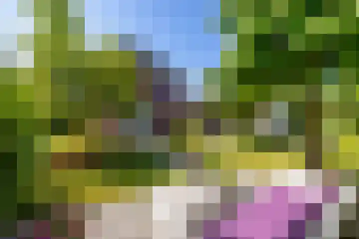 Willem Plojterlaan 37 Eelderwolde thumbnail 44