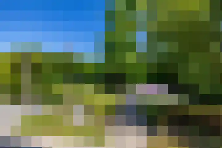 Willem Plojterlaan 37 Eelderwolde thumbnail 45