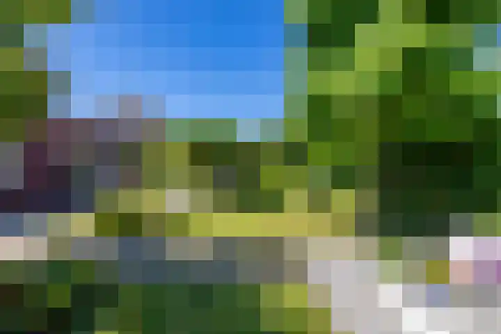 Willem Plojterlaan 37 Eelderwolde thumbnail 46