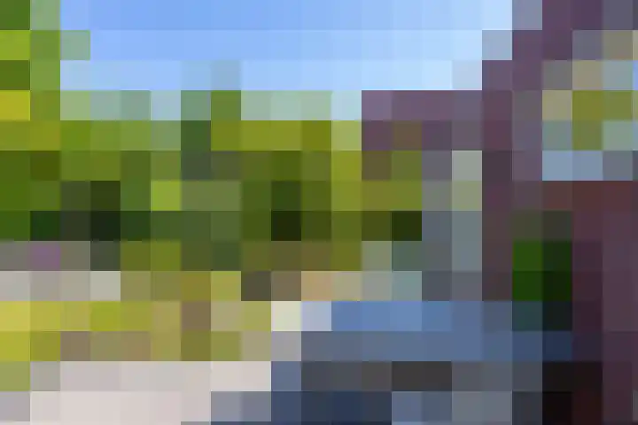 Willem Plojterlaan 37 Eelderwolde thumbnail 47