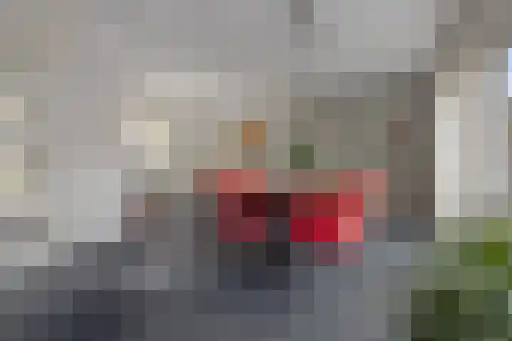 Willem Pompestraat 6 Eindhoven thumbnail 14